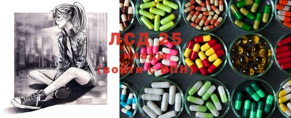 MESCALINE Аркадак