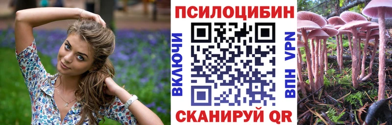 Галлюциногенные грибы Psilocybe  наркошоп  Фатеж 